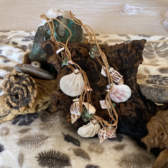 Shell necklace. - Picture 2 of 3